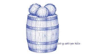 Blue ballpoint pen sketch of a wooden barrel with iron hoops and three whole heads of cabbage resting on top