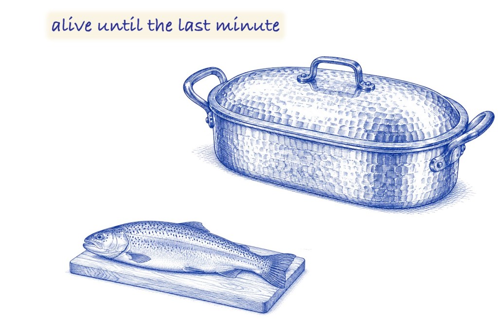 Blue ballpoint sketch of an oblong hammered-copper truitière with a lid, much longer than the whole trout lying on a wooden board in front of it